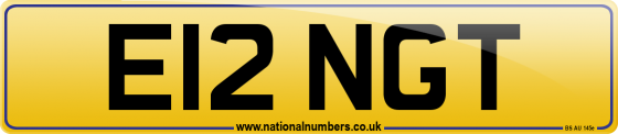 E12 NGT