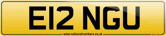 E12 NGU