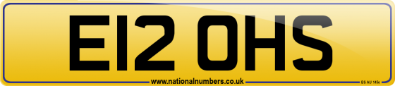 E12 OHS