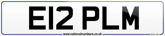 E12 PLM