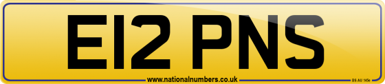E12 PNS