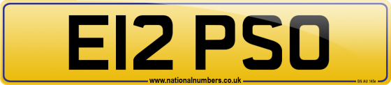 E12 PSO