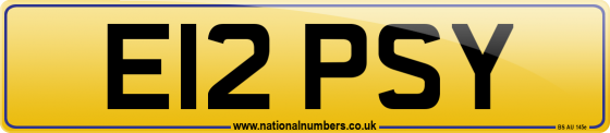 E12 PSY
