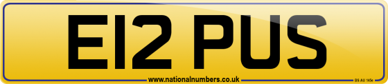 E12 PUS
