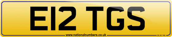E12 TGS