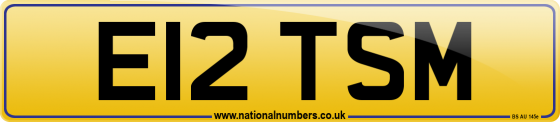 E12 TSM