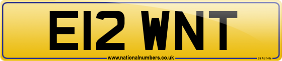 E12 WNT
