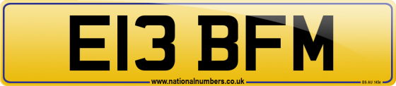 E13 BFM