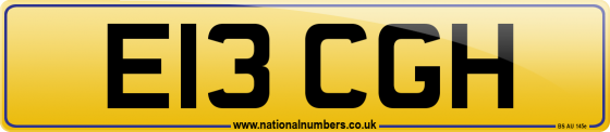 E13 CGH