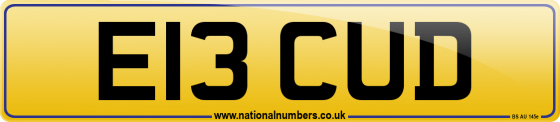 E13 CUD
