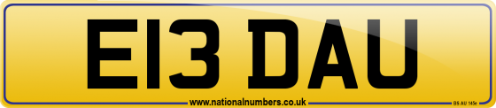 E13 DAU