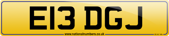 E13 DGJ