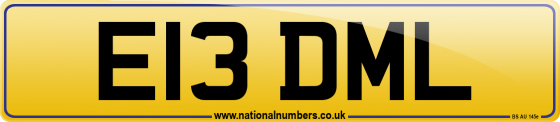 E13 DML
