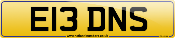 E13 DNS