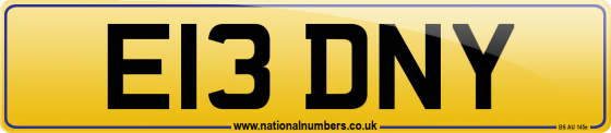 E13 DNY