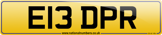 E13 DPR