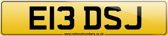 E13 DSJ