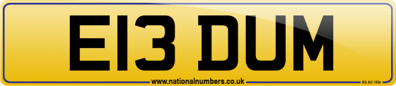 E13 DUM