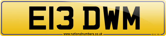 E13 DWM