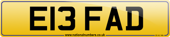 E13 FAD