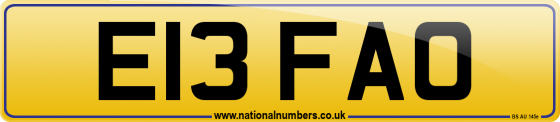 E13 FAO