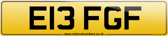 E13 FGF