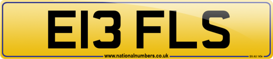 E13 FLS
