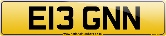E13 GNN