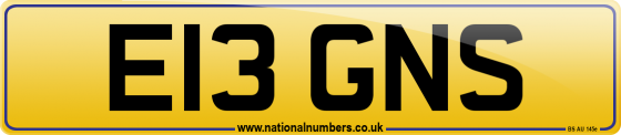 E13 GNS