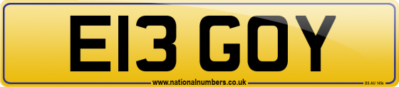 E13 GOY