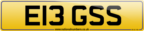 E13 GSS