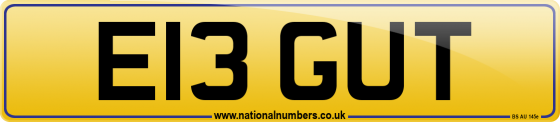 E13 GUT