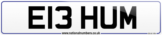 E13 HUM
