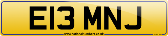E13 MNJ