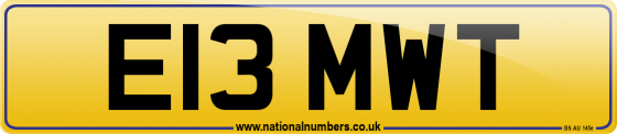 E13 MWT