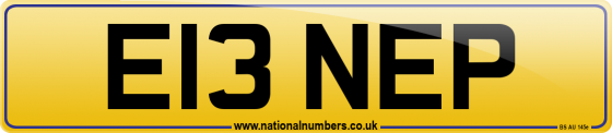 E13 NEP
