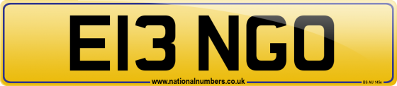 E13 NGO