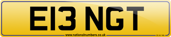 E13 NGT