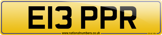 E13 PPR