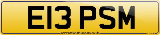 E13 PSM