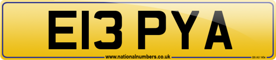 E13 PYA
