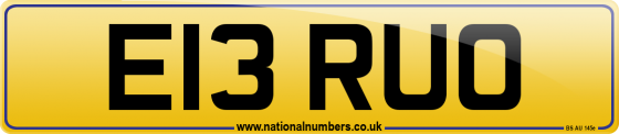 E13 RUO