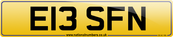 E13 SFN