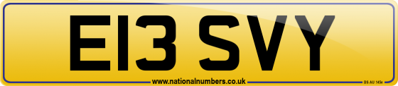E13 SVY
