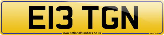 E13 TGN