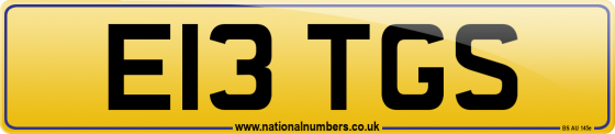 E13 TGS
