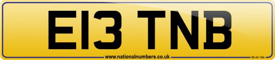 E13 TNB