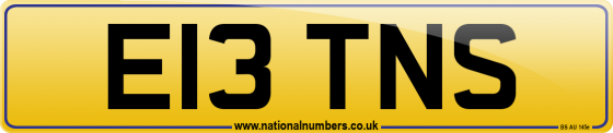E13 TNS