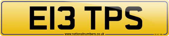 E13 TPS