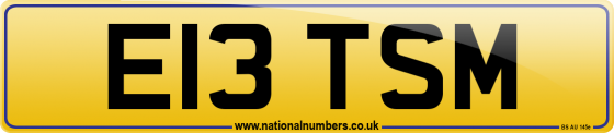 E13 TSM